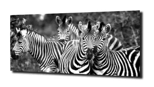 84945b44892056f2450f9b4b1e167744