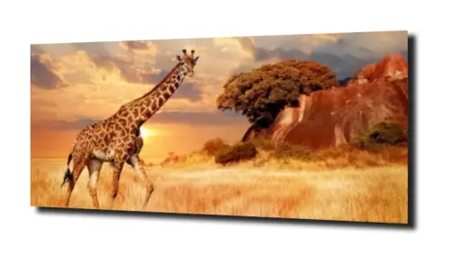 6cff99a7dfca5730983adf178b1edb66