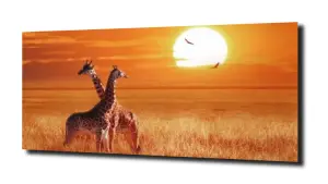 obraz na szkle Żyrafa zachód słońca  