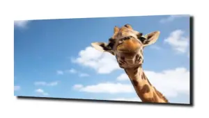 obraz na szkle Żyrafa chmury zwierzę 