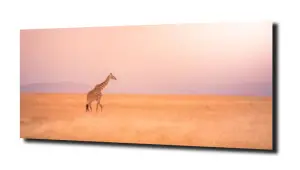 obraz na szkle Żyrafa zwierzę natura 