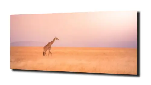 f9aca7dfeda42fba84f5818da4c0fa53