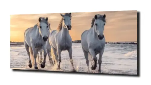 1c8ffdbba0156cfaf2139aa75031023d