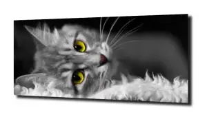 obraz na szkle Kot zielone oczy mały 