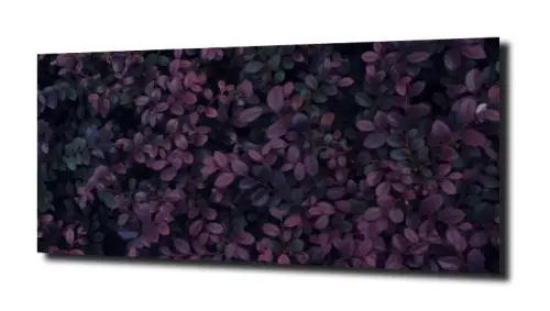 615ae7e88a456dda41c0d3f9752ac2e6