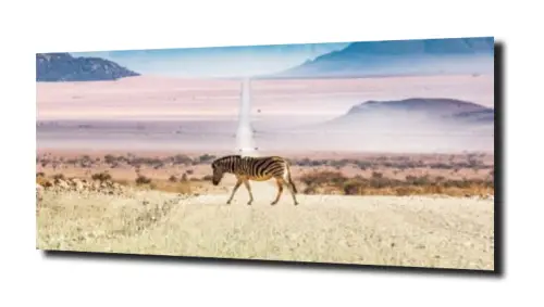 d53b48744a3e5de9c23cbd887cee784b