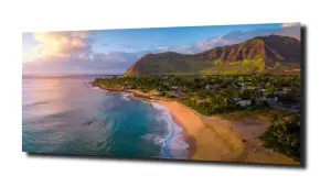 obraz na szkle Plaża Hawaje natura  