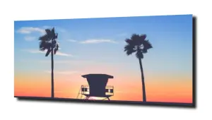 obraz na szkle Vintage plaża palmy  