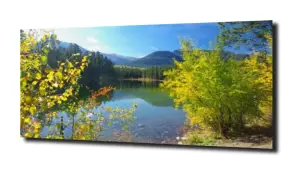 obraz na szkle Niebo drzewa jezioro 