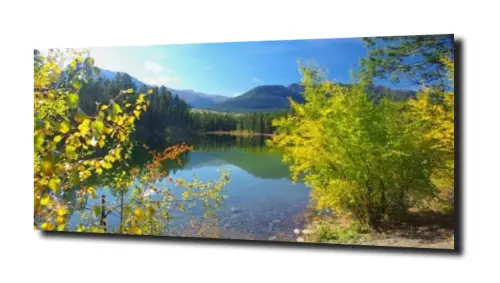 ae850d891d08211c5e1aaf356742e1b6