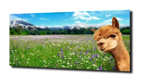 1823127b8e4d49d073dfc4dcd41eb113