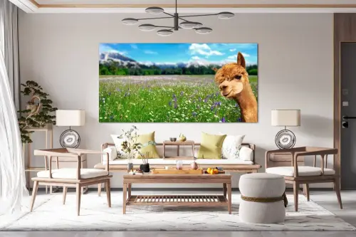 fa771a46ef220743978fa7e7f720908d