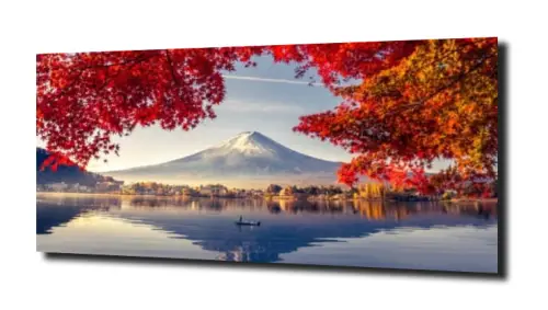 6d7da6c81f547c0c7fe4fd8fdc9333ff