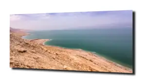 obraz na szkle Brzeg morza Martwego 