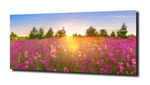 obraz na szkle Łąka kwiaty panorama 