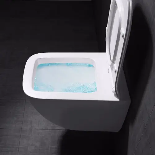 Misa WC Swiss Liniger Ivetta serii Rimless