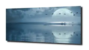 obraz na szkle Morze, księżyc ptaki 