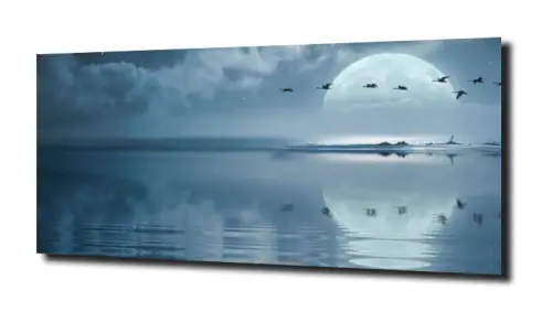 f0eb553b535e9fc9afbdc7d407147237