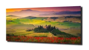 obraz na szkle Kwiaty pole Toskania 