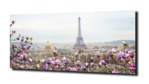 obraz na szkle Miasto Paryż kwiaty  