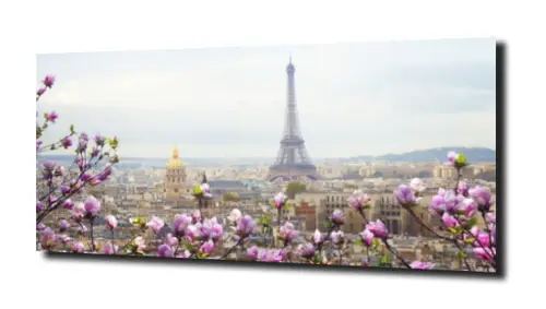 0069a20a83e084f7c8a88bc48bf70eff