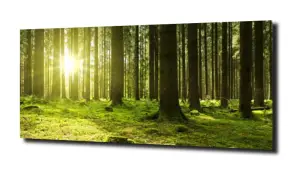 obraz na szkle, Panel szklany Las 4 