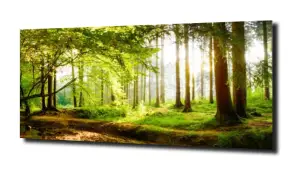 obraz na szkle, Panel szklany Las 6 