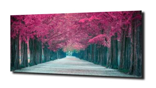 1ef5a50abf9530c0954dc899c17296e0