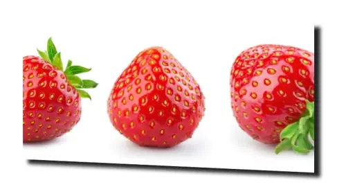 eb8fa851e6350275e0b0af4d6bf83cf9