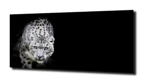 obraz na szkle Zwierzęta gepard kot 