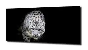 obraz na szkle Zwierzęta Gepard kot 