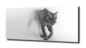 obraz na szkle Tygrys  czarno biały 