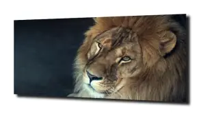 obraz na szkle, Panel szklany Lew 2 