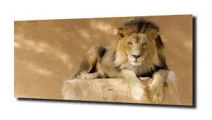 obraz na szkle Lew sylwetka zwierzę 