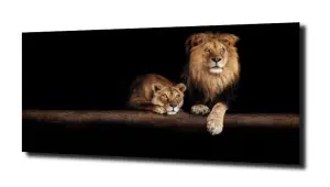 obraz na szkle Para lwów czarne tło 