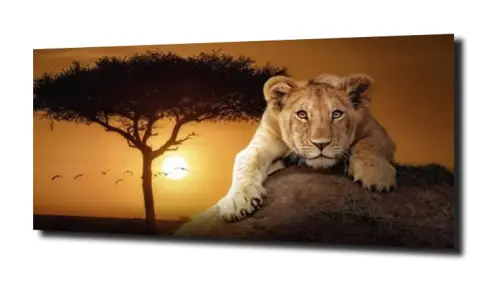 5077954d5486d726cec4897731471212