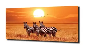 obraz na szkle Zebry zachód słońca  