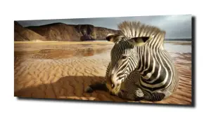 obraz na szkle Zebra jezioro Afryka 