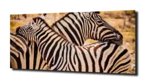 obraz na szkle Zebra dziecko Afryka 