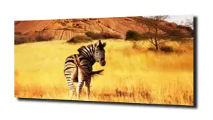 obraz na szkle Zebra Sawanna Afryka 