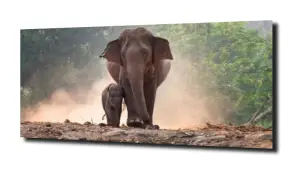 obraz na szkle Słoń drzewa przyroda 