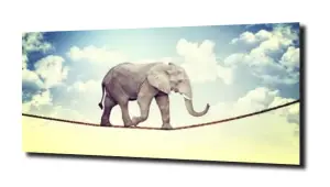 obraz na szkle Słoń spacer po linie 