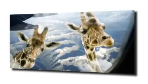 obraz na szkle Żyrafa samolot widok 