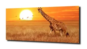 obraz na szkle Zachód słońca żyrafa 