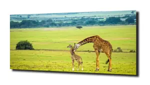 obraz na szkle Żyrafa natura zieleń 