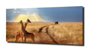 obraz na szkle Żyrafa safari słońce 