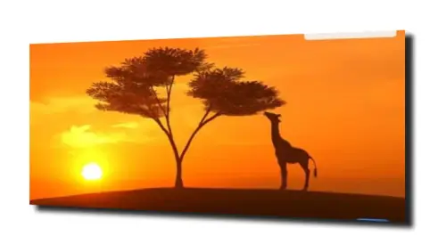 7f6bbf7ff514fdf59a0aa324cd84a38e