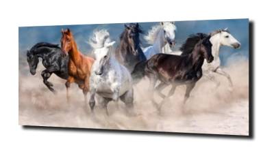 obraz na szkle Konie galop kolorowe 