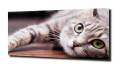 bb6bdeca06a62e2cf0a2a7b1cfb26b7c