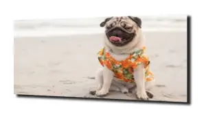 obraz na szkle Mops piesek na plaży 